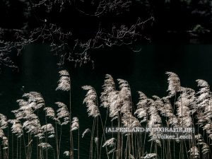 Der Thumsee © Volker Lesch - Alpenland Fotografie
