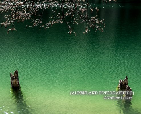 Der Thumsee © Volker Lesch - Alpenland Fotografie